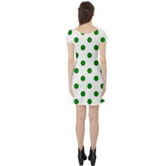Short Sleeve Skater Dress Back