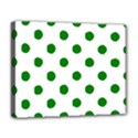 Deluxe Canvas 20  x 16  (Stretched) 