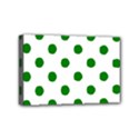 Mini Canvas 6  x 4  (Stretched) 