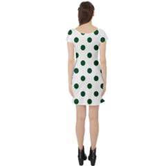 Short Sleeve Skater Dress Back