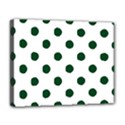 Deluxe Canvas 20  x 16  (Stretched) 