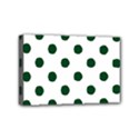 Mini Canvas 6  x 4  (Stretched) 