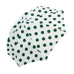 Folding Umbrella 