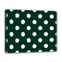 Deluxe Canvas 20  x 16  (Stretched) 