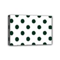 Mini Canvas 6  x 4  (Stretched) 