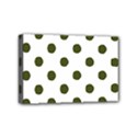 Mini Canvas 6  x 4  (Stretched) 