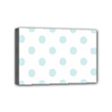 Mini Canvas 6  x 4  (Stretched) 