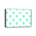 Mini Canvas 6  x 4  (Stretched) 
