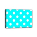 Mini Canvas 6  x 4  (Stretched) 