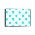 Mini Canvas 6  x 4  (Stretched) 