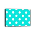 Mini Canvas 6  x 4  (Stretched) 