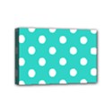 Mini Canvas 6  x 4  (Stretched) 
