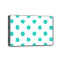 Mini Canvas 6  x 4  (Stretched) 