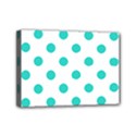 Mini Canvas 7  x 5  (Stretched) 