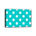 Mini Canvas 6  x 4  (Stretched) 
