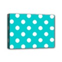 Mini Canvas 7  x 5  (Stretched) 
