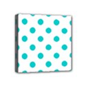 Mini Canvas 4  x 4  (Stretched) 