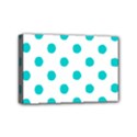 Mini Canvas 6  x 4  (Stretched) 