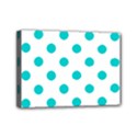 Mini Canvas 7  x 5  (Stretched) 
