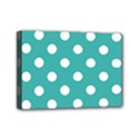 Mini Canvas 7  x 5  (Stretched) 