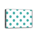 Mini Canvas 6  x 4  (Stretched) 