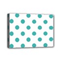 Mini Canvas 7  x 5  (Stretched) 