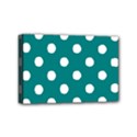 Mini Canvas 6  x 4  (Stretched) 