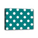 Mini Canvas 7  x 5  (Stretched) 