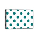 Mini Canvas 6  x 4  (Stretched) 
