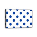 Mini Canvas 6  x 4  (Stretched) 