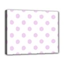 Deluxe Canvas 20  x 16  (Stretched) 