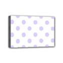 Mini Canvas 6  x 4  (Stretched) 