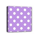 Mini Canvas 4  x 4  (Stretched) 