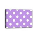 Mini Canvas 6  x 4  (Stretched) 
