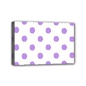 Mini Canvas 6  x 4  (Stretched) 