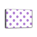 Mini Canvas 6  x 4  (Stretched) 