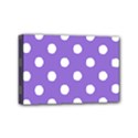 Mini Canvas 6  x 4  (Stretched) 