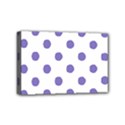 Mini Canvas 6  x 4  (Stretched) 