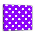 Deluxe Canvas 24  x 20  (Stretched) 