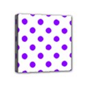 Mini Canvas 4  x 4  (Stretched) 