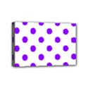Mini Canvas 6  x 4  (Stretched) 