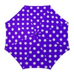 Polka Dots - White on Indigo Violet Golf Umbrella