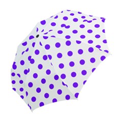 Folding Umbrella 