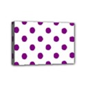 Mini Canvas 6  x 4  (Stretched) 