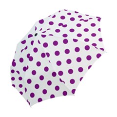 Folding Umbrella 
