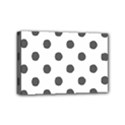 Mini Canvas 6  x 4  (Stretched) 