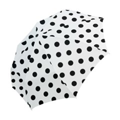 Folding Umbrella 