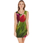 Images Tulip Red Bodycon Dress