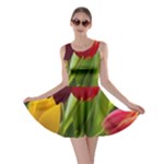 Images Tulip Red Skater Dress