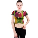 Images Tulip Red Crew Neck Crop Top